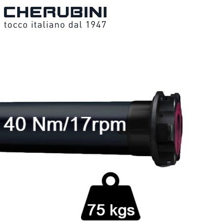 motor vía radio cherubini open zrx eje 60 o 50mm