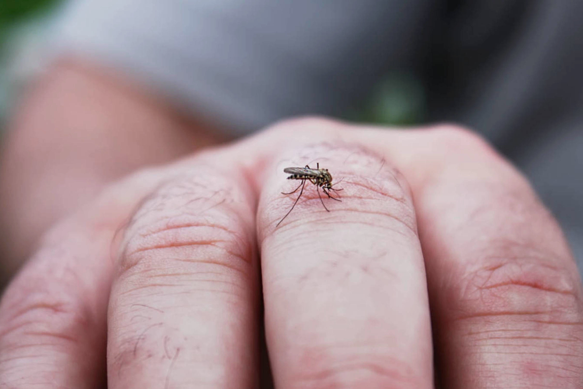 Uma pessoa que previne uma picada de mosquito.