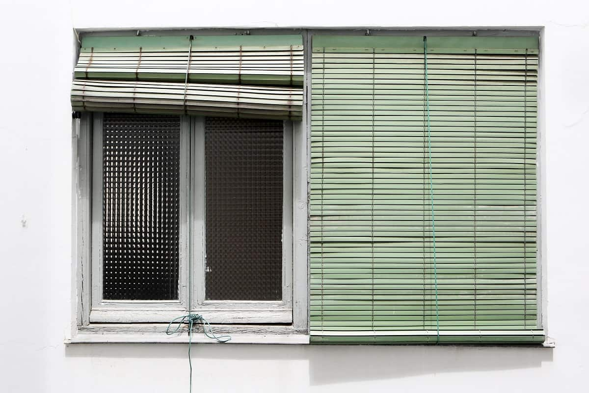 windows with two green alicantina blinds