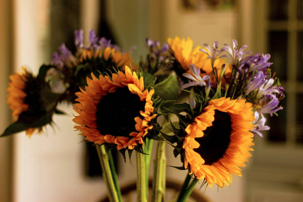 flowers and grasses inside the home