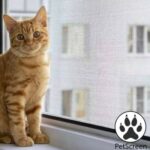 PetScreen Haustier-Schiebeleinwand aus Stoff