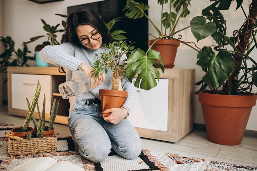 Mujer en casa regando plantas antimosquitos