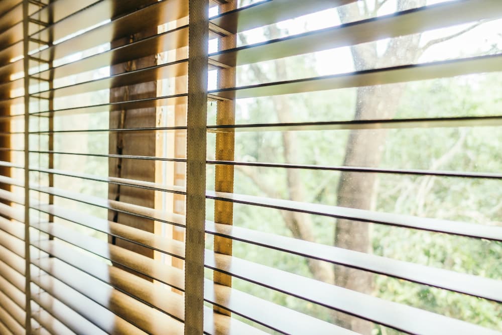 Persianas abiertas en ventana
